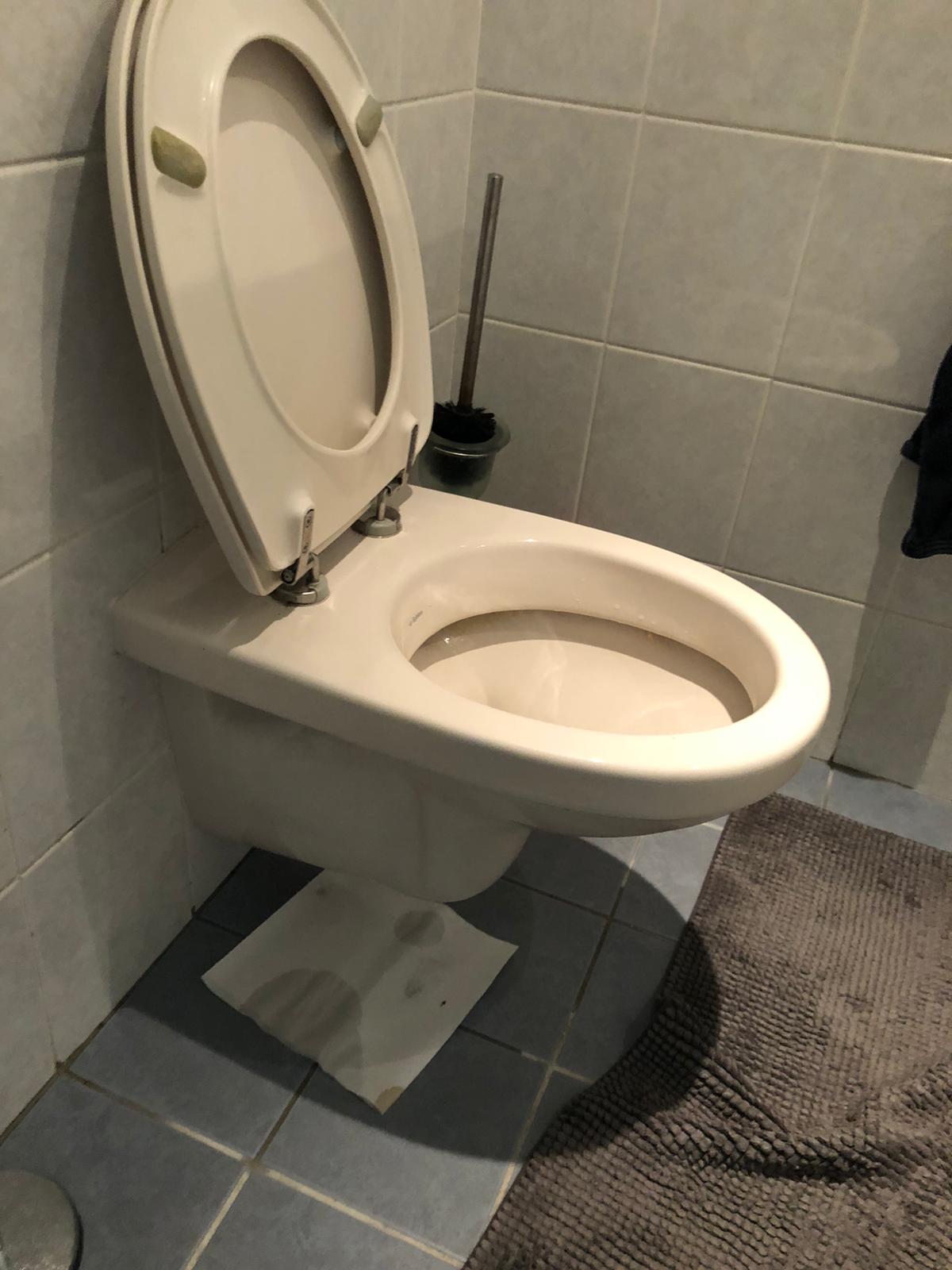 hangtoilet Vleuten